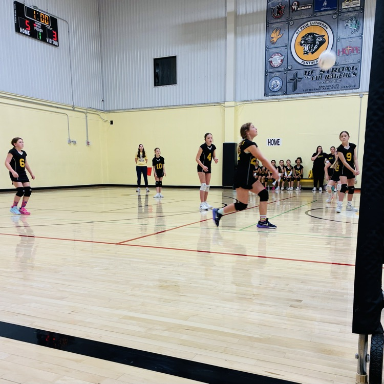 5/6 volleyball