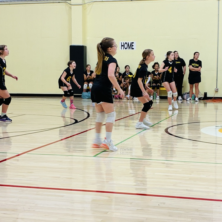 5/6 volleyball