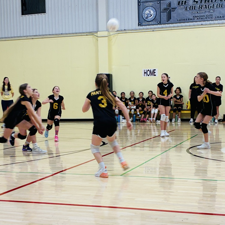 5/6 volleyball