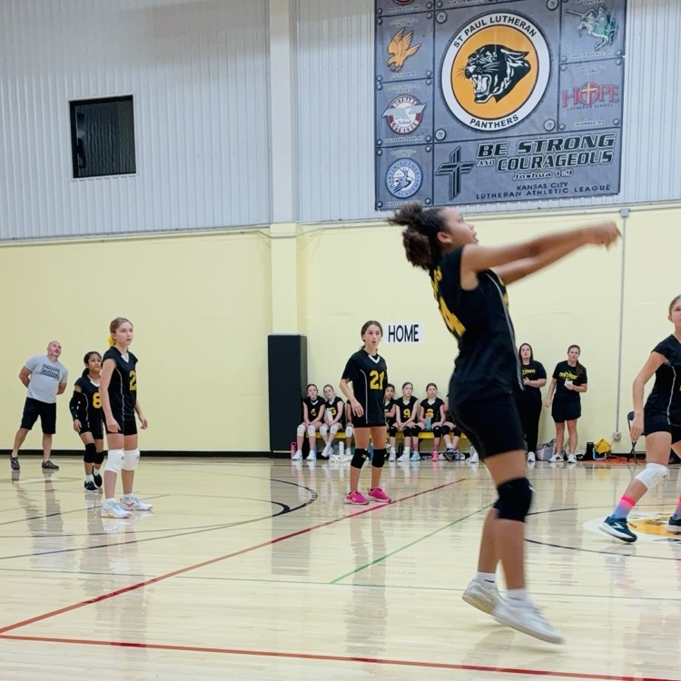 5/6 volleyball
