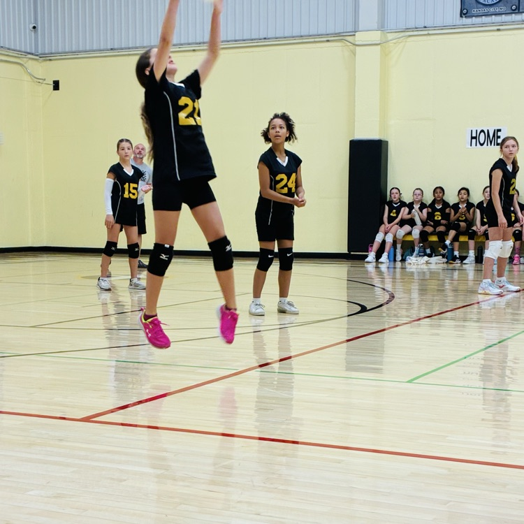 5/6 volleyball