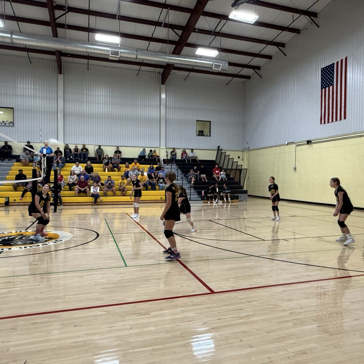 Vball