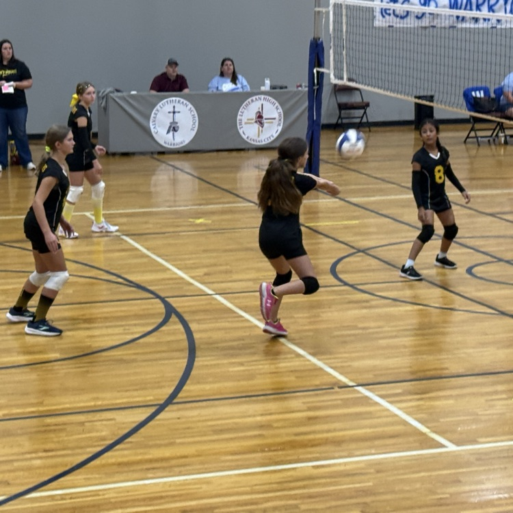 Vball