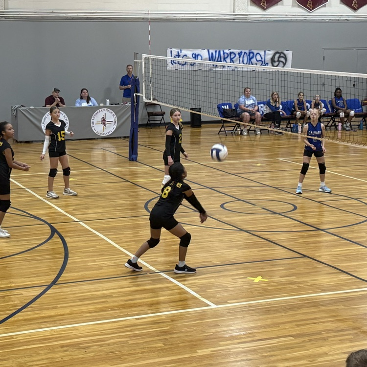 Vball