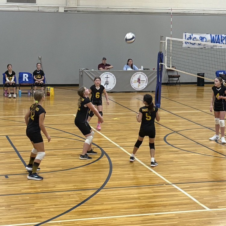 Vball