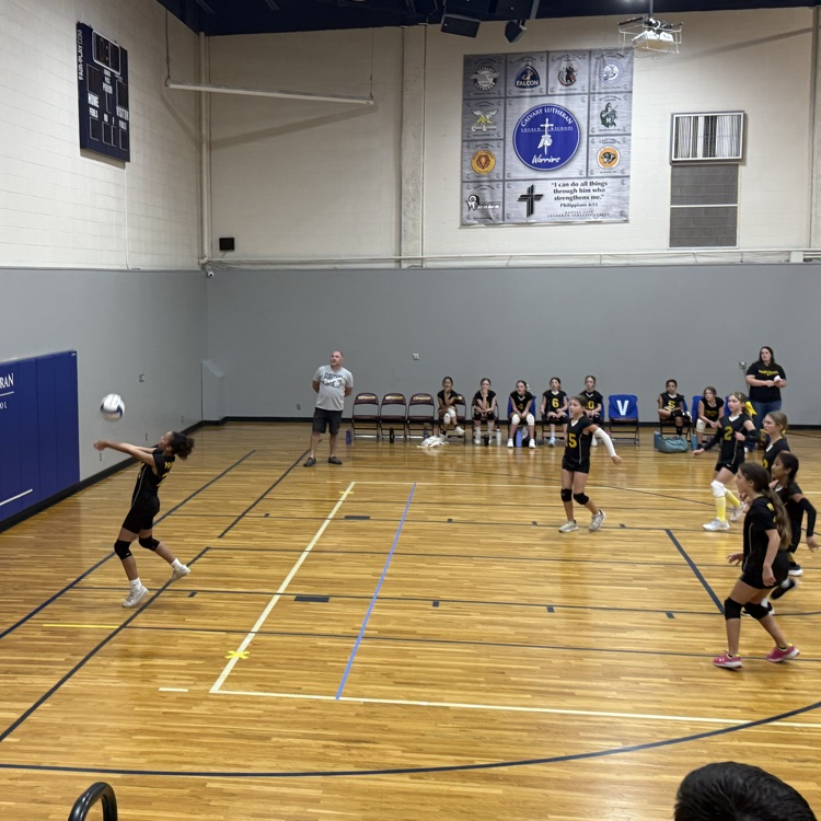 Vball
