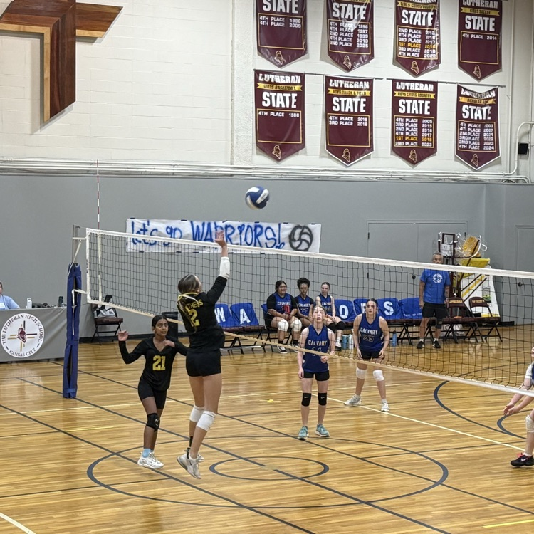 Vball