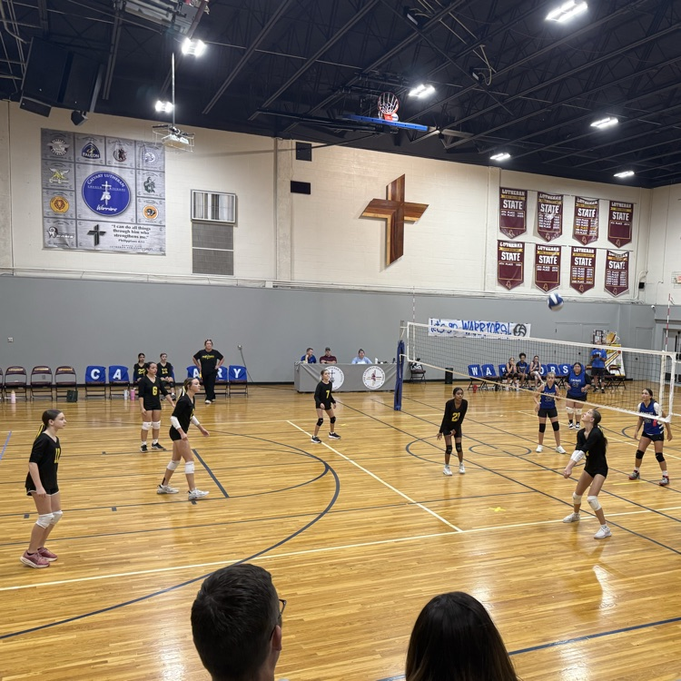 Vball