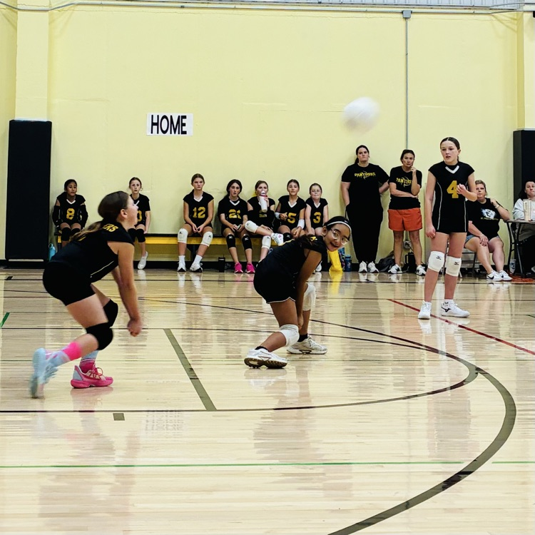 5/6 volleyball 