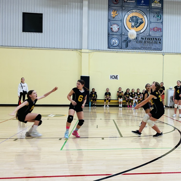 5/6 volleyball 