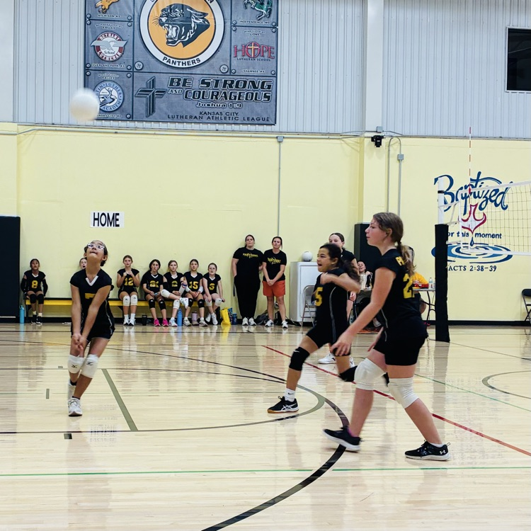 5/6 volleyball 