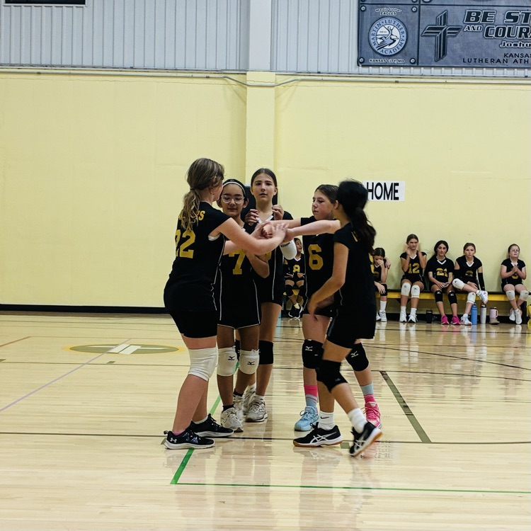 5/6 volleyball 