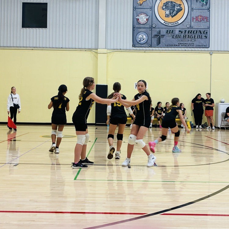 5/6 volleyball 