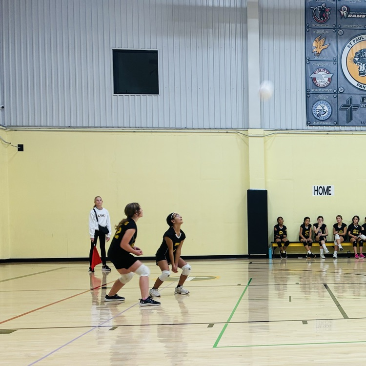 5/6 volleyball 
