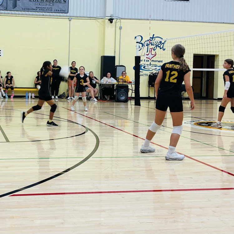 5/6 volleyball 
