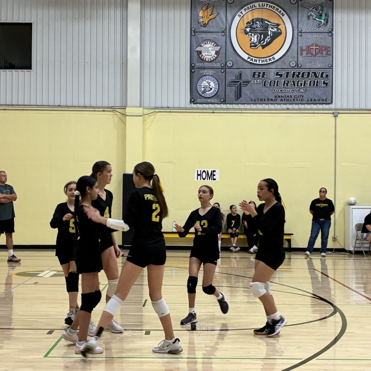 7/8 volleyball