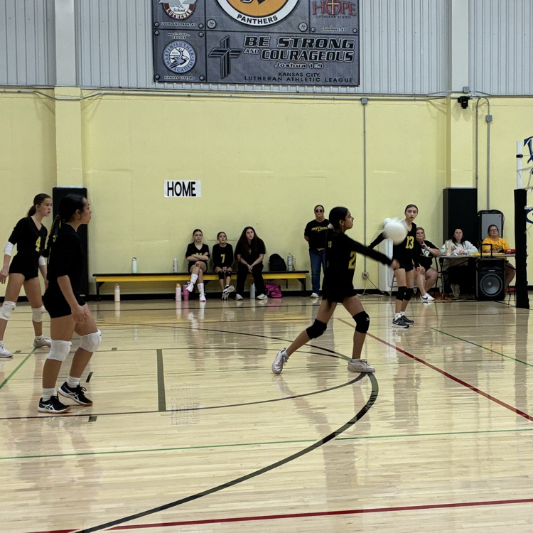 7/8 volleyball