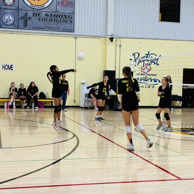 7/8 volleyball