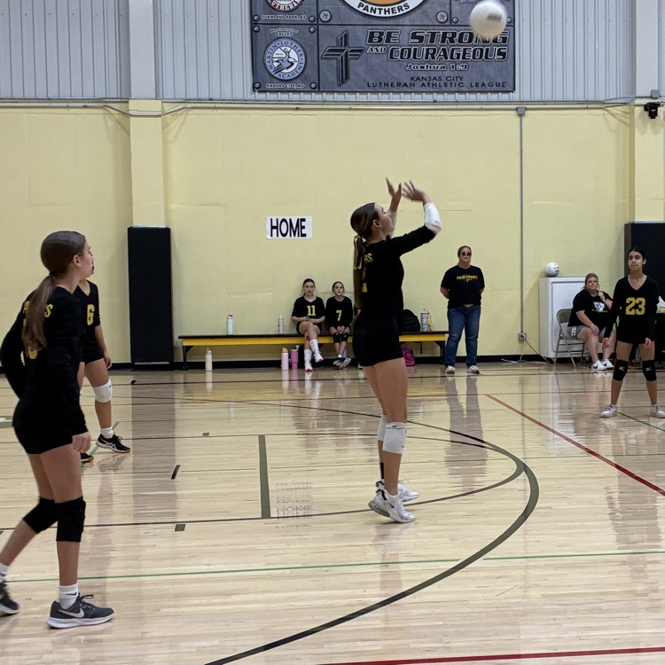 7/8 volleyball