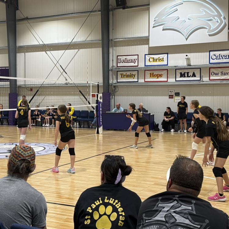 Vball