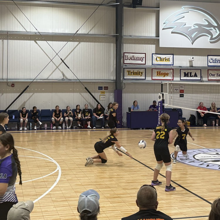 Vball