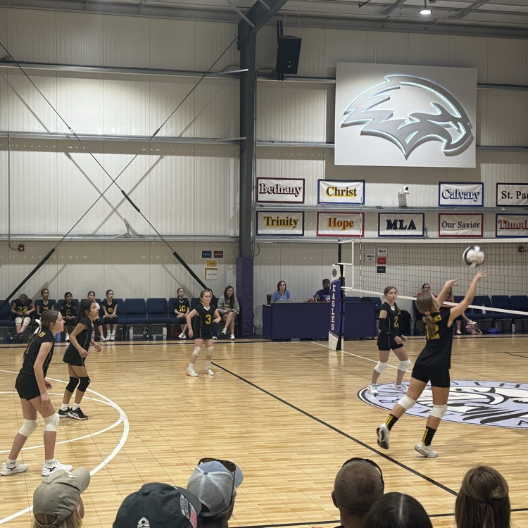 Vball