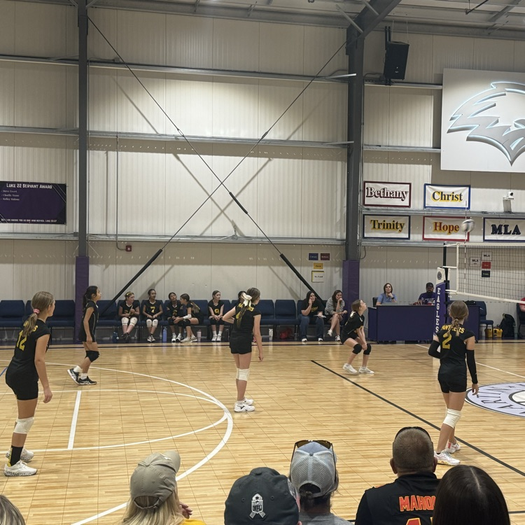 Vball