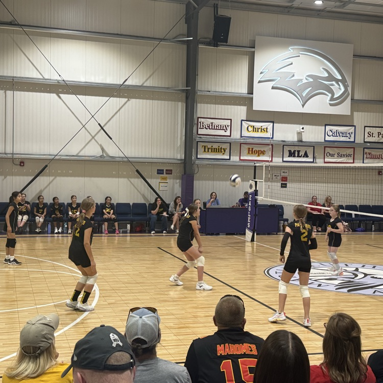 Vball
