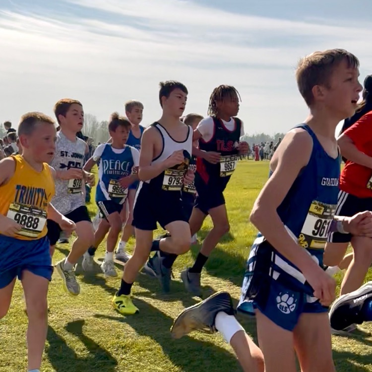 XC