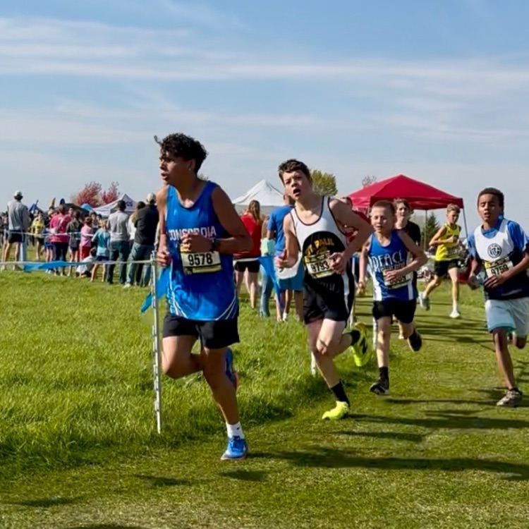XC