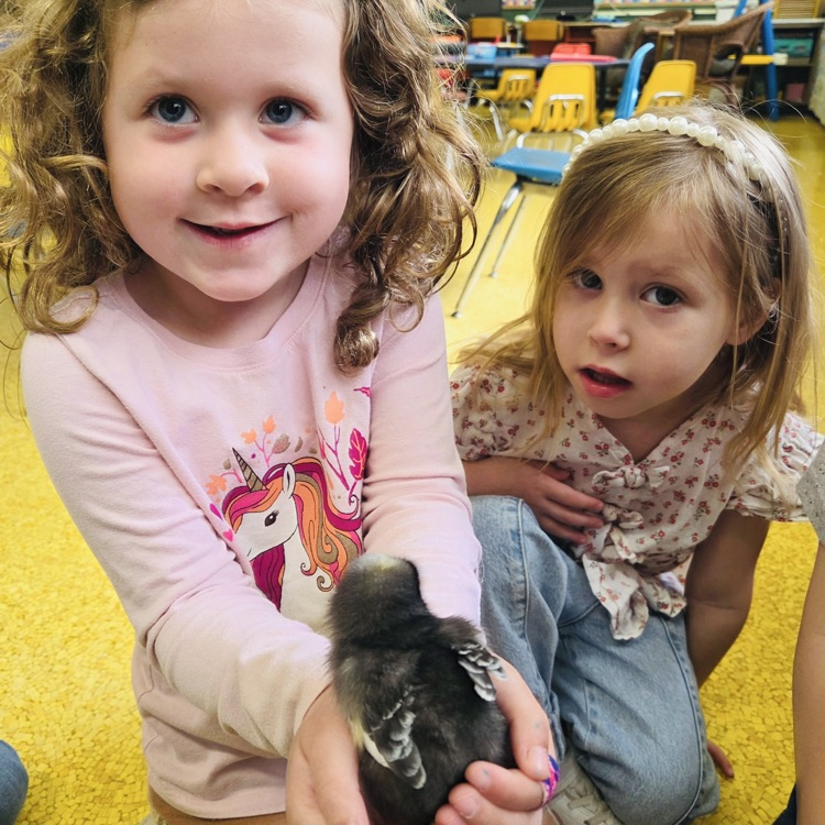 Preschool Happenings