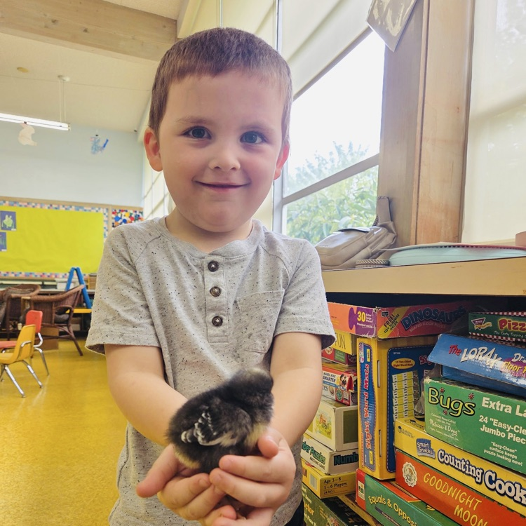 Preschool Happenings