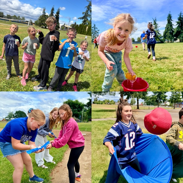 Field Day