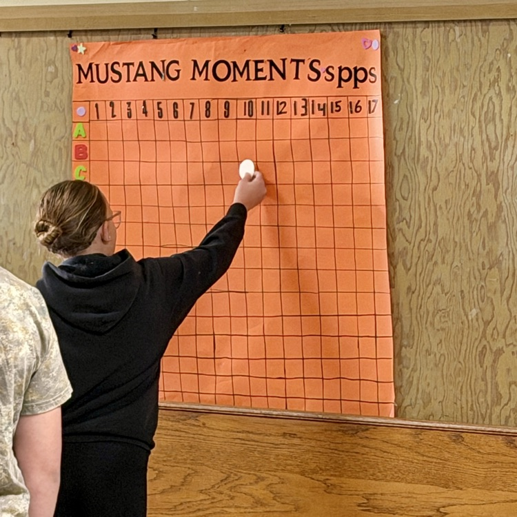 Marvelous Mustangs 