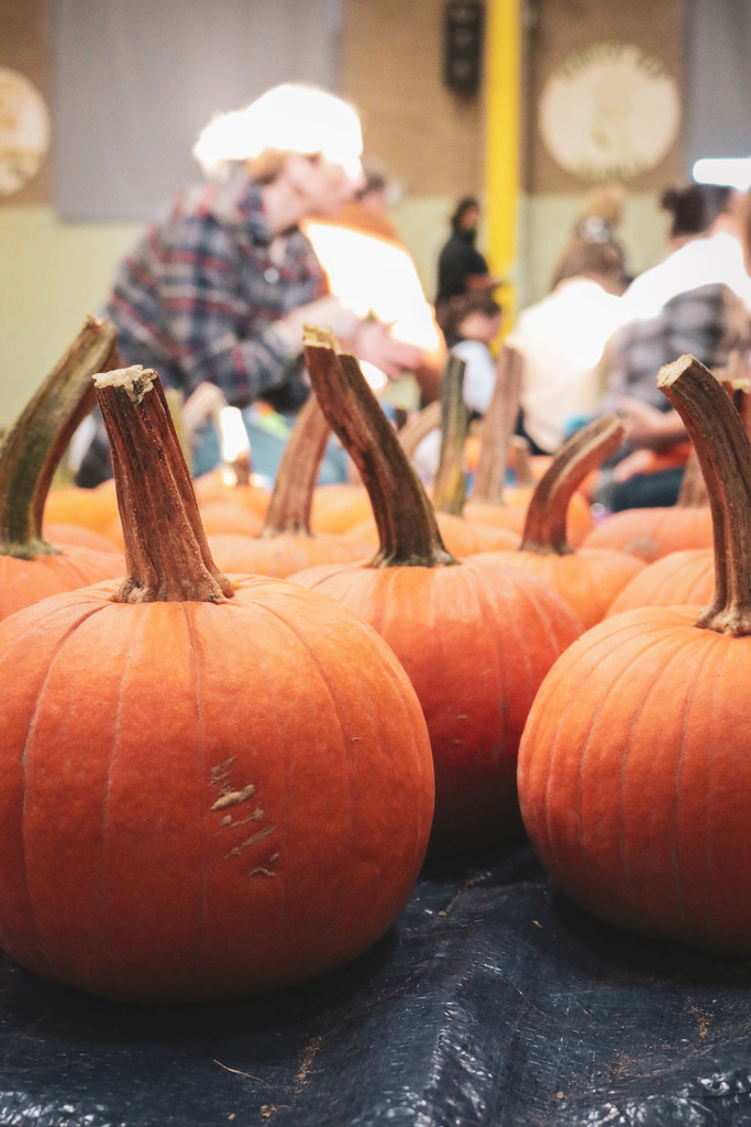 fall commUNITY