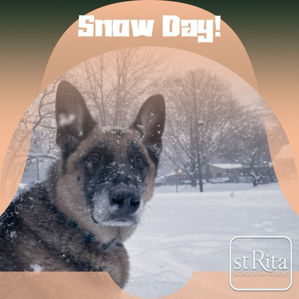 Snow Day