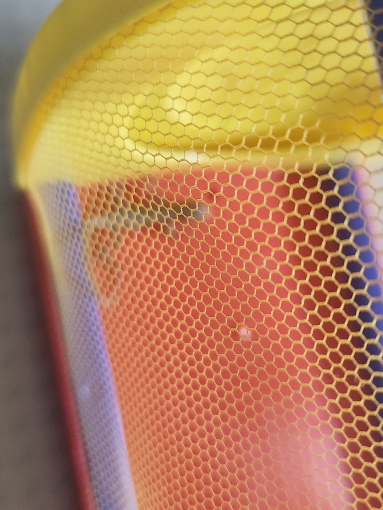 yellow bug box with a tiny (small) about pointer finger long lizard inside the box.