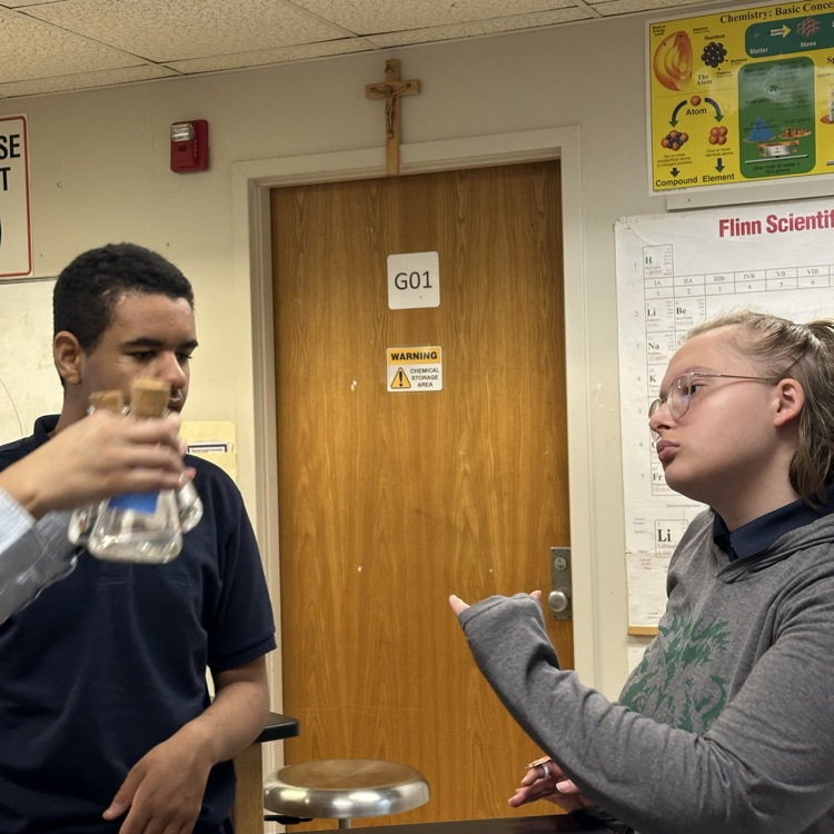 A student is telling teacher that all samples are same in color. 