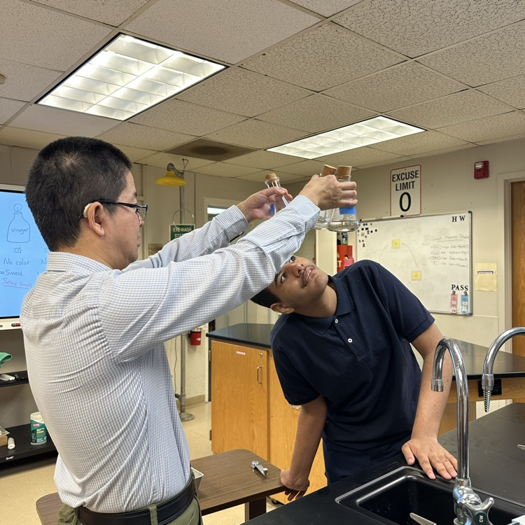 Students are observing the liquid samples  