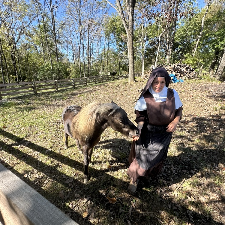visiting the farm