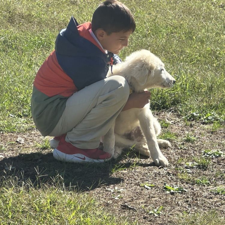 visiting the farm