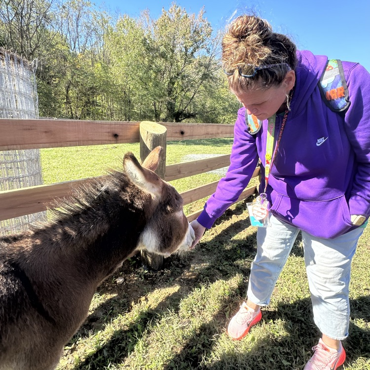 visiting the farm