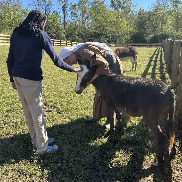 visiting the farm