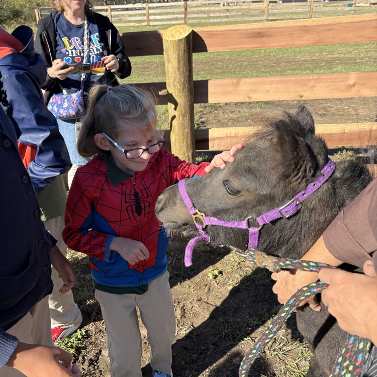 visiting the farm
