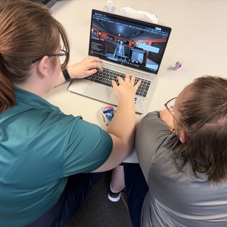 students are participating in career exploration simulations online