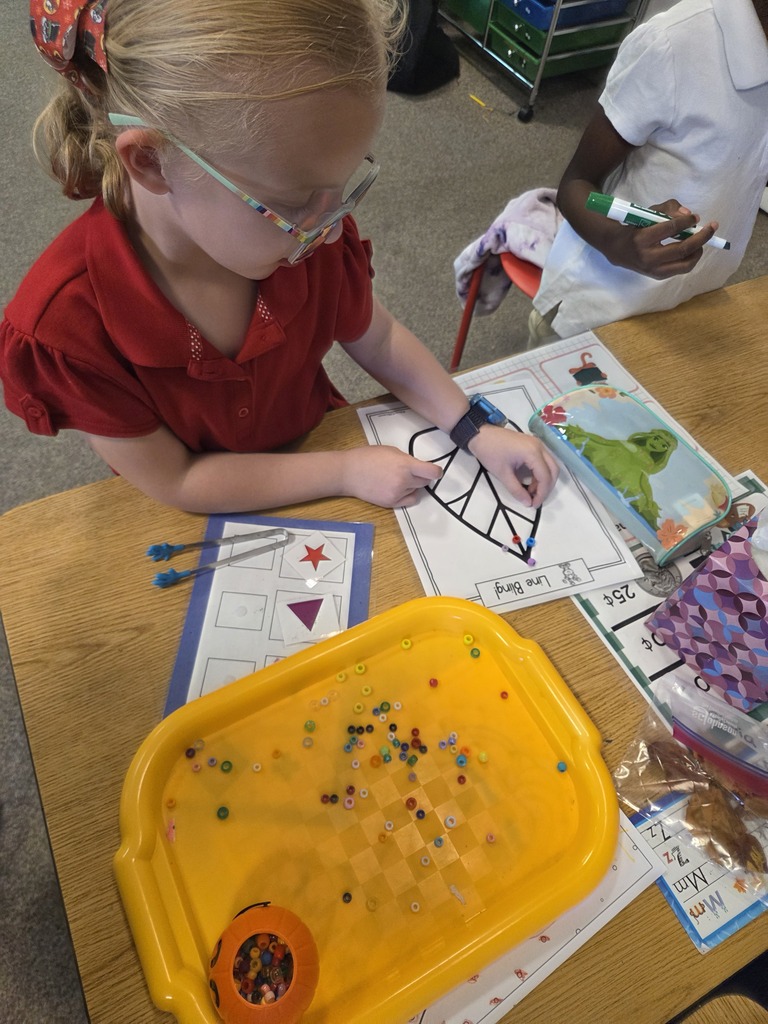 fine motor