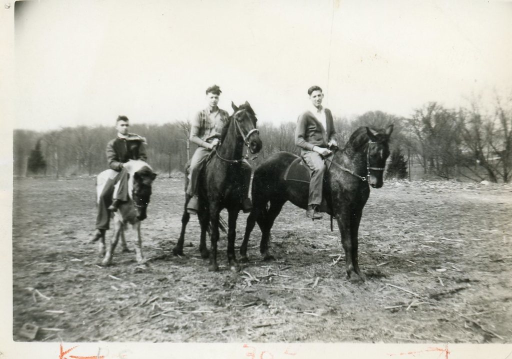 boys with horses