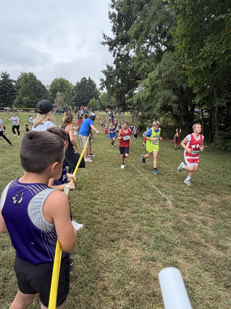 xc