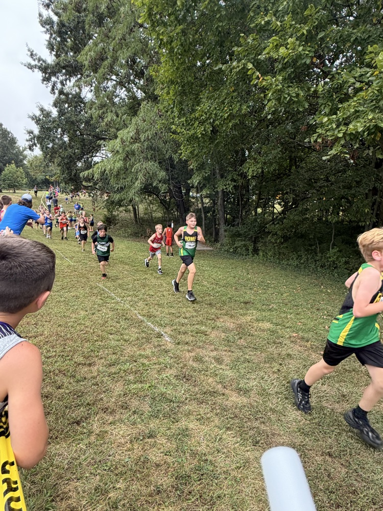 xc
