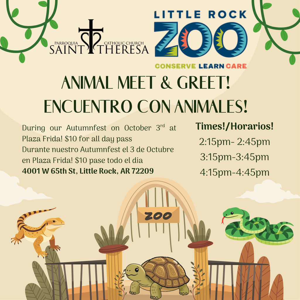 zoo flyer